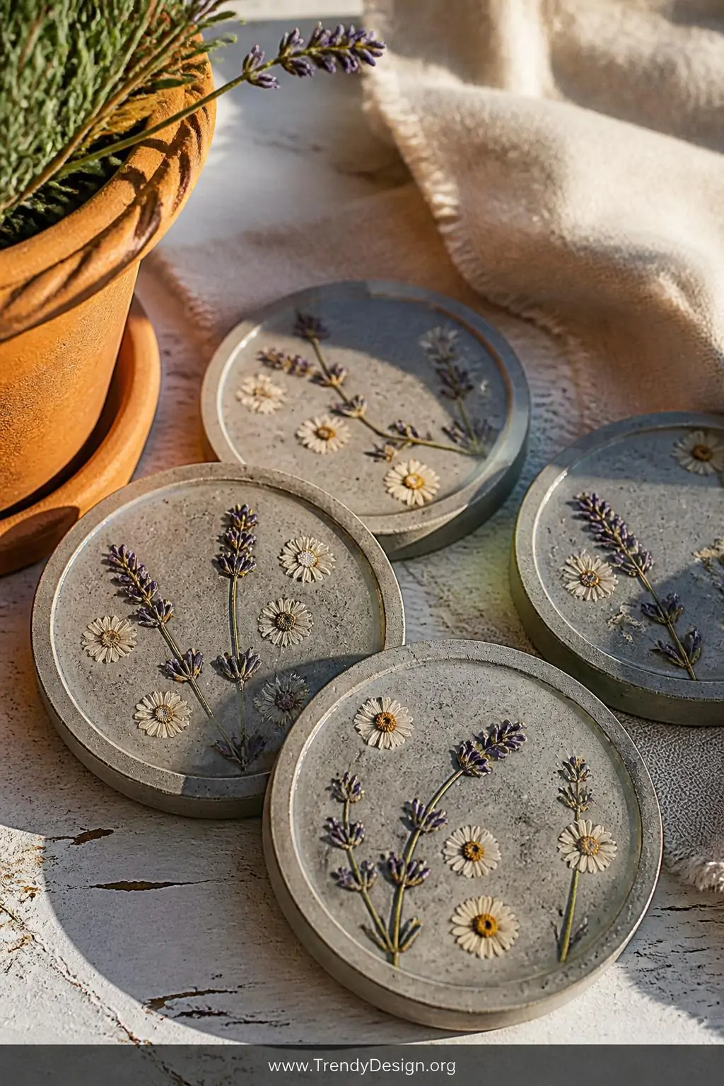 Concrete coasters with lavender sprigs and tiny pressed daisies sealed beneath a transparent protective layer on a weathered white wooden surface beside a terracotta pot and soft linen napkin, golden afternoon sunlight casting delicate shadows, closeup shot revealing botanical details against the gray concrete.