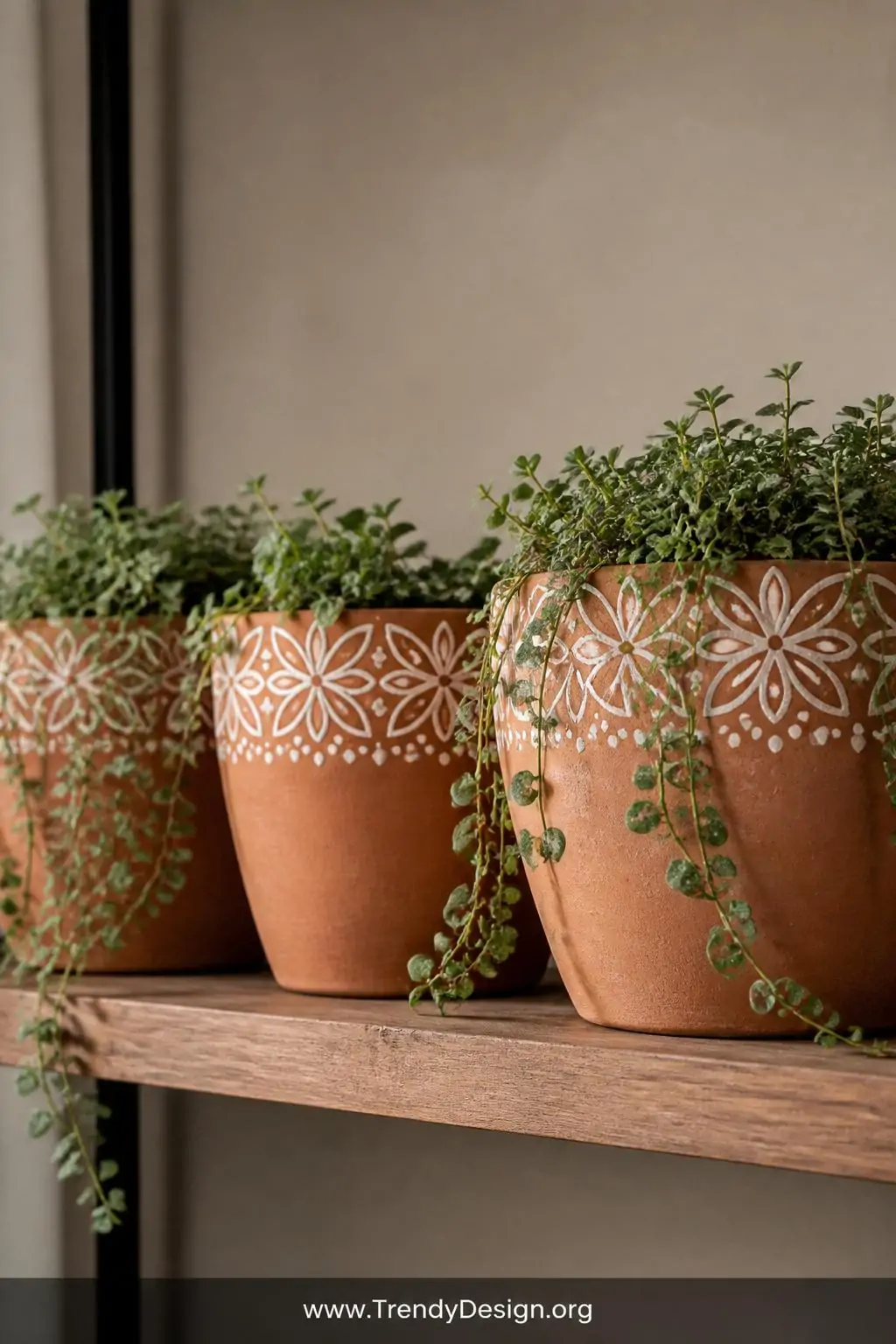 A close-up photorealistic shot of three terracotta plant pots on a wooden shelf, each decorated with matching stamped white g