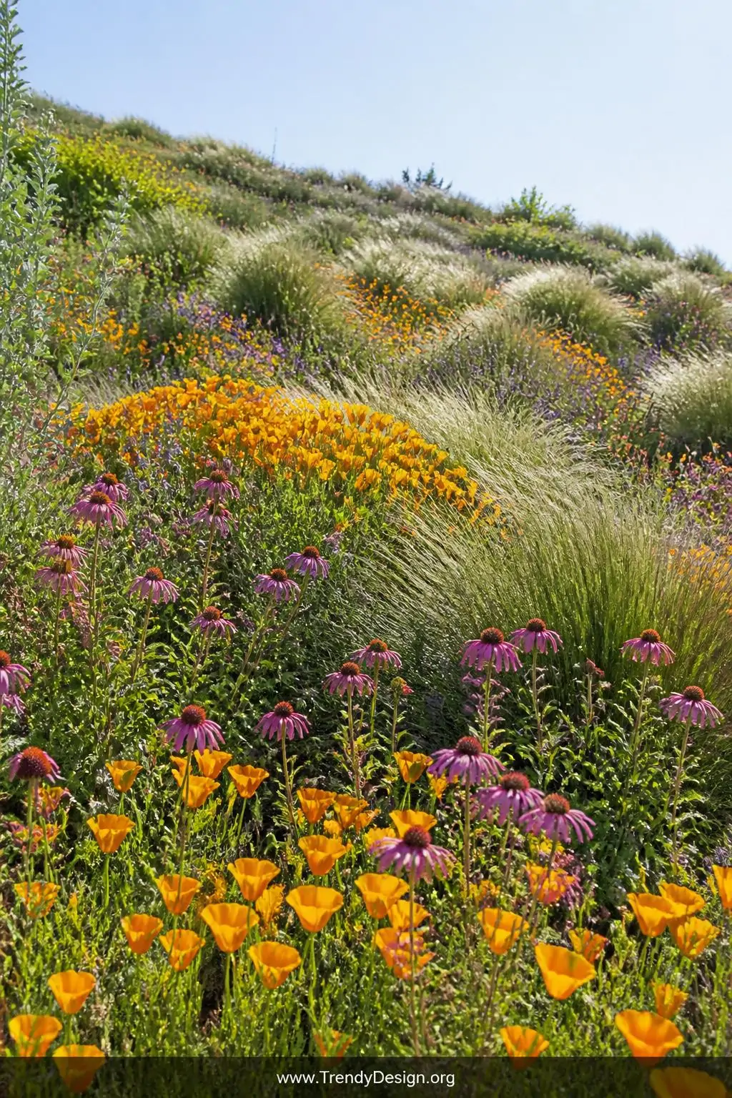 Wide photorealistic shot of a gently sloping hillside completely naturalized with a sweeping wildflower landscape, waves of o