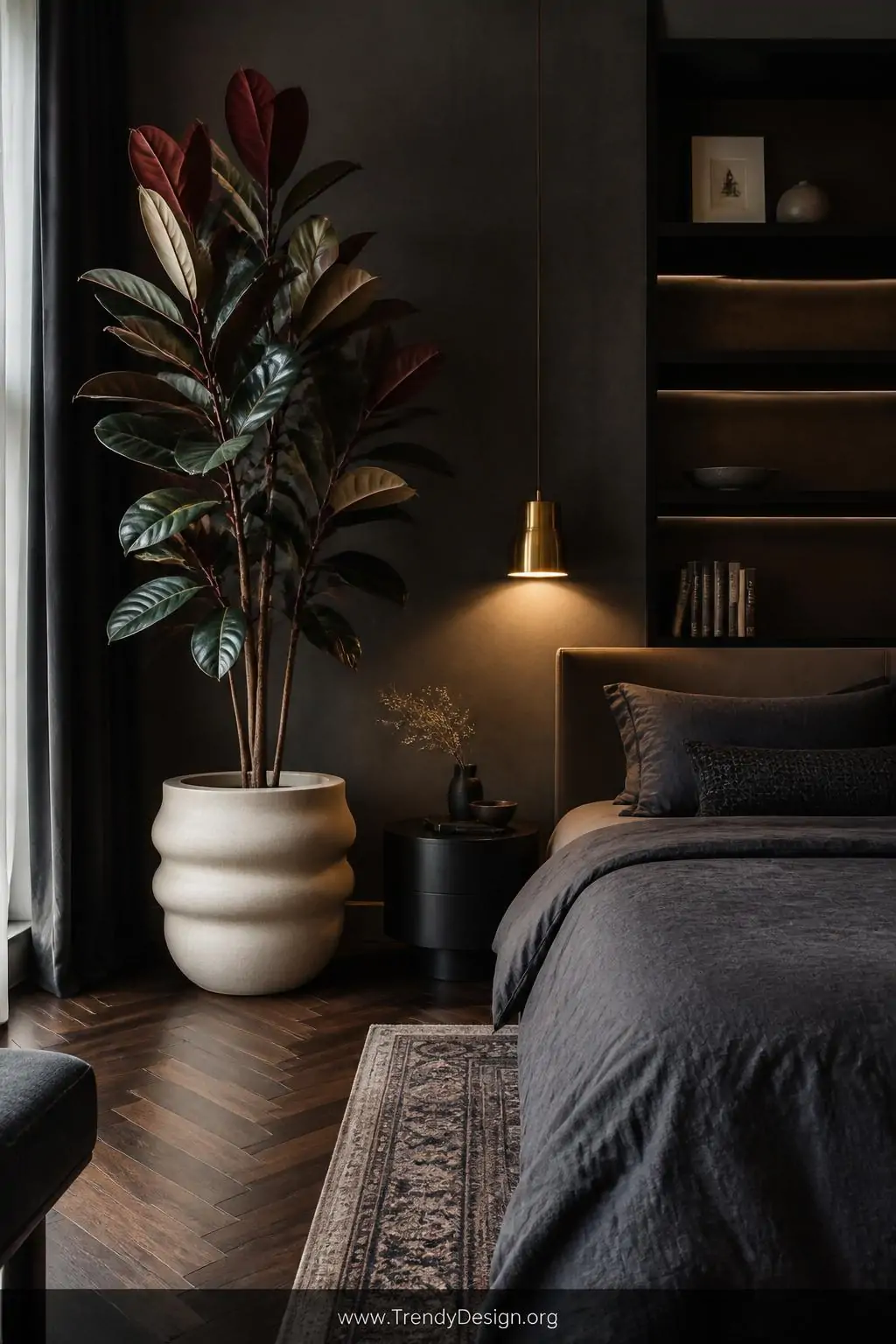 A dramatic wide-angle bedroom shot featuring a tall rubber plant with large glossy burgundy and deep green leaves in a oversi